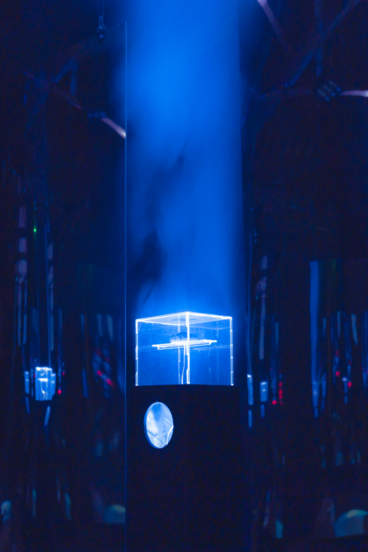 Particle Shrine by Christo Squier. Immersive audiovisual generative art installation. Science Gallery London. Particle Physics and Cosmic rays.